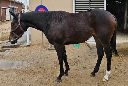 �����Ѽ��� ����