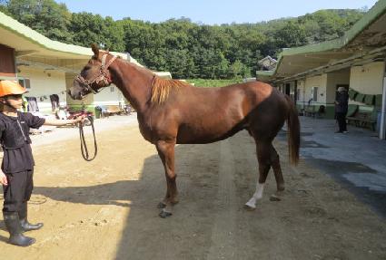 �۴���Ƽ ����