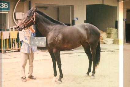 �����׸� ����