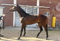 ������� (HEUIMANG YEOSIN) ����