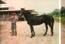 ȰȲ�� (HWAL HWANG SAE) ����