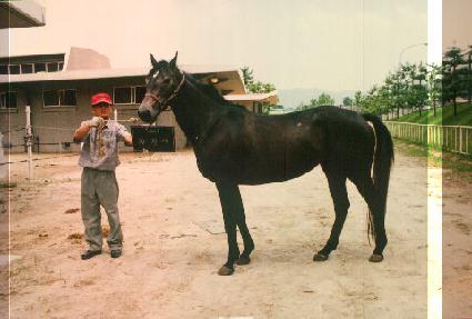 ȰȲ�� ����