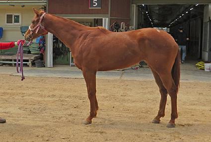 Ȳ�ݺ��� ����