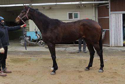 ����Ĺ ����