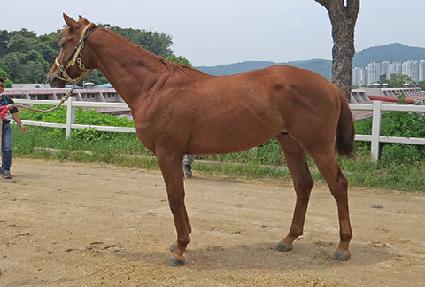 ������ŷ ����