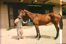 ���� (MO KO JI) ����