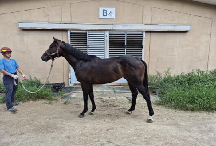 �����̱� ����