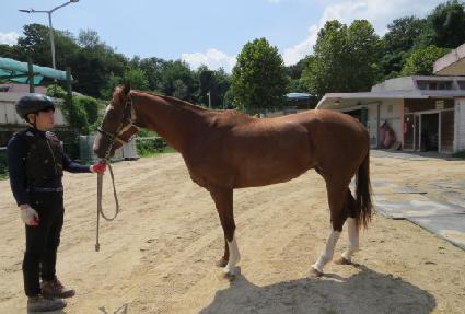 ���ν�ī�� ����