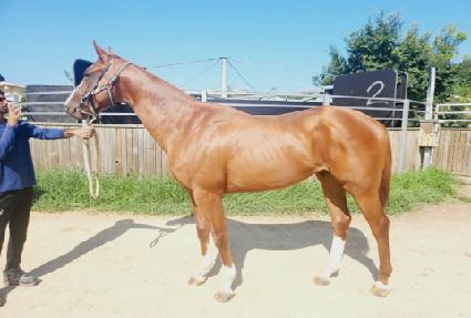 ���ΰ��� ����