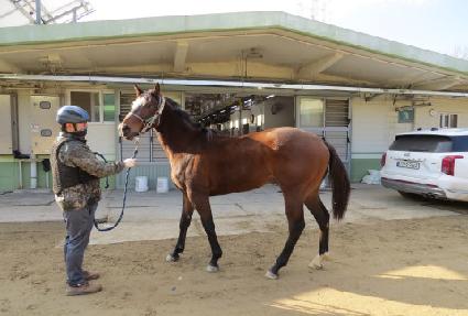 �����ϴ� ����