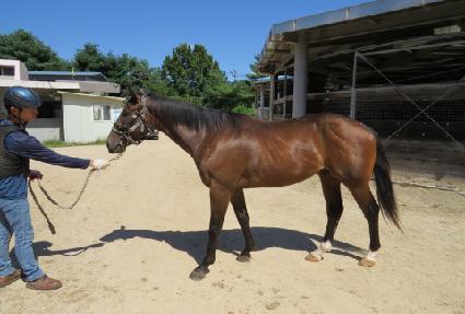 ��Ÿų�� ����