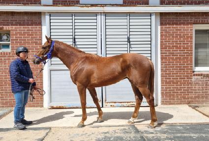 ��Ʈ�巡�� ����