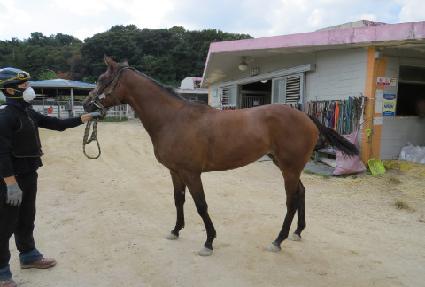 �����ϳ��� ����