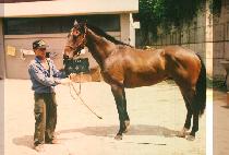 ���ð� (SOOK LYEUN GONG) ����