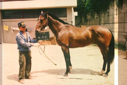 ���ð� ����