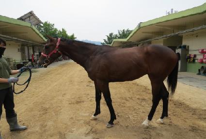 ��ǳ�Ķ� ����