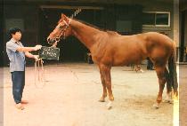 �³����� (ON NAN JEUN SEUN) ����