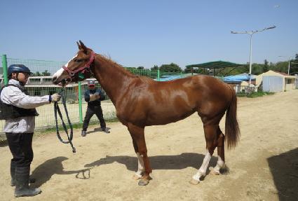 ��ī��ī ����