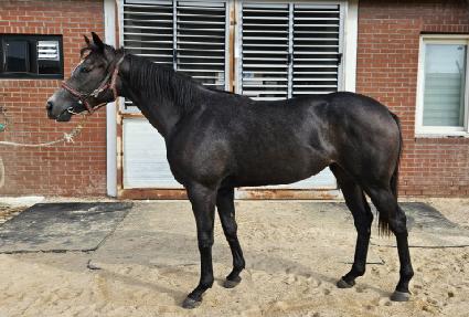 �ؿ���ǲ� ����