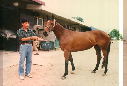 ��ۼҽ� ����