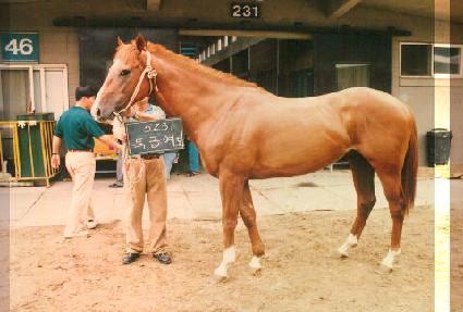 Ư�޿��� ����