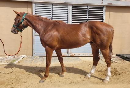 ���ͺ��� ����