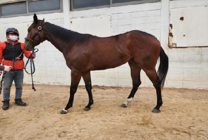 �б����巡�� ����