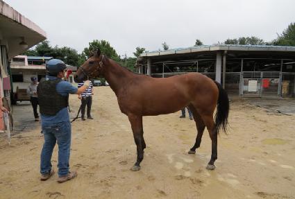 �۷θ��� ����