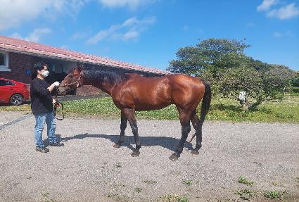 �ܼ�Ʈ���� ����