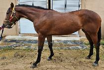 õ�� (CHEONGWAN) ����