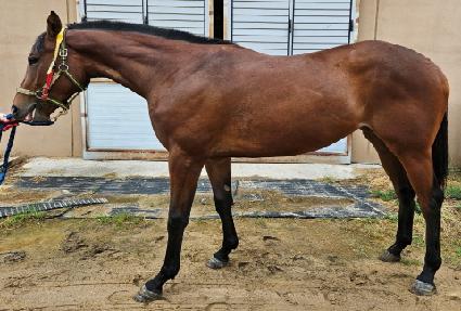 õ�� ����