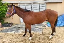 �Ϳ� (MAENGNYONG) ����