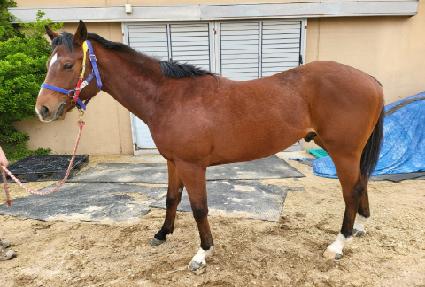 �Ϳ� ����