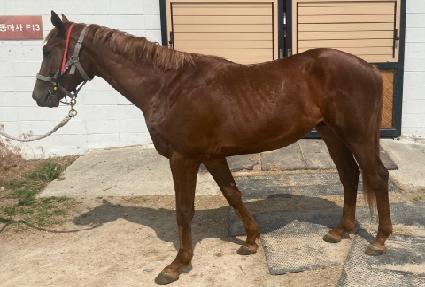 ���ɹ̶�Ŭ ����