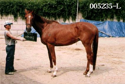 ����Ÿ�� ����