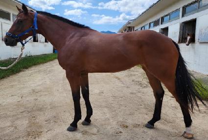 ��Ʈ�� ����