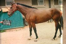 �Ŀ��ڵ� (POWER HANDLE) ����