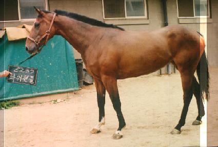 �Ŀ��ڵ� ����