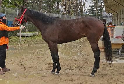 �׸��� ����