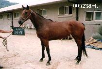 ���� (KWAE JAE) ����