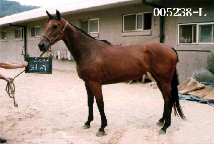 ���� ����