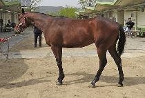 �������� (FORTUNA) ����