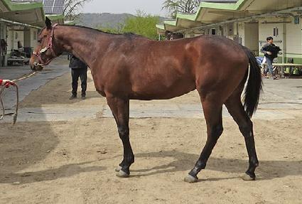 �������� ����