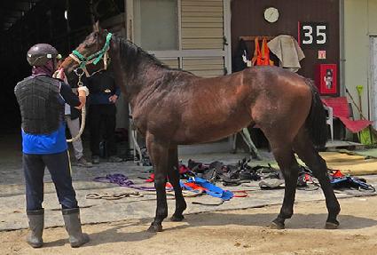 ����ƾ������ ����