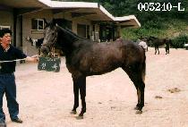 û�� (CHEUNG ROK) ����