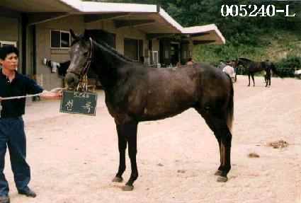 û�� ����