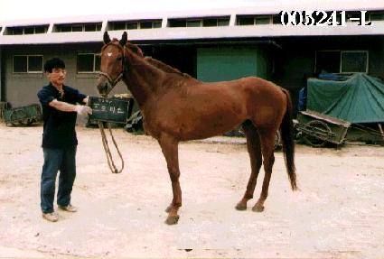 ���κ�� ����