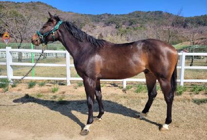 �������� ����