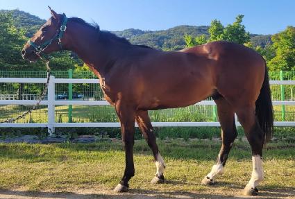 �������� ����