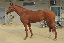 �������̺� (HEALING HAVEN) ����